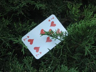 Napolibet Ağustos Ayında Yeni Kampanyalar Olacak Mı ? 1 Napolibet Ağustos Ayında Yeni Kampanyalar Olacak Mı ?